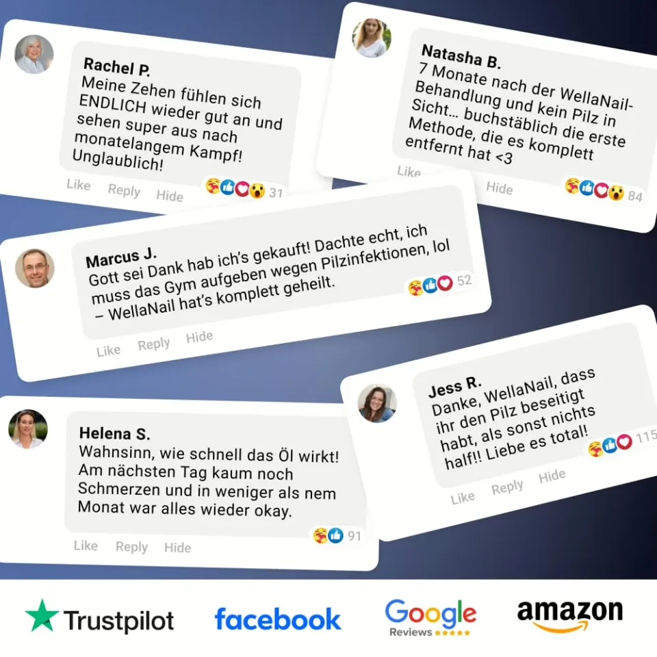 WellaNail Ergebnisse